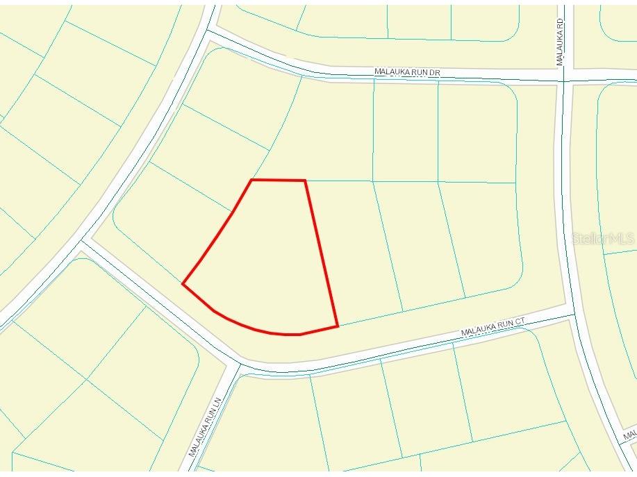 TBD Malauka Run Court Ocklawaha FL 32179 OM690898 image4