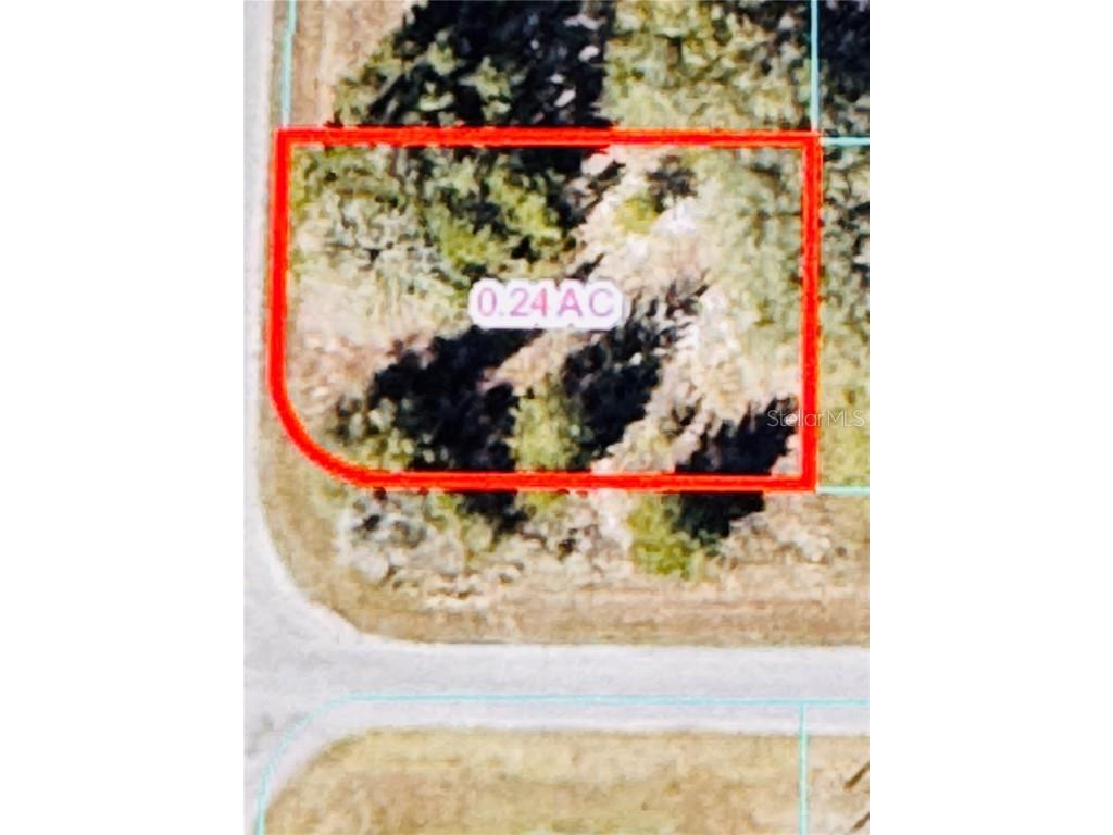 TBD Malauka Run Ocklawaha FL 32179 N6135422 image1