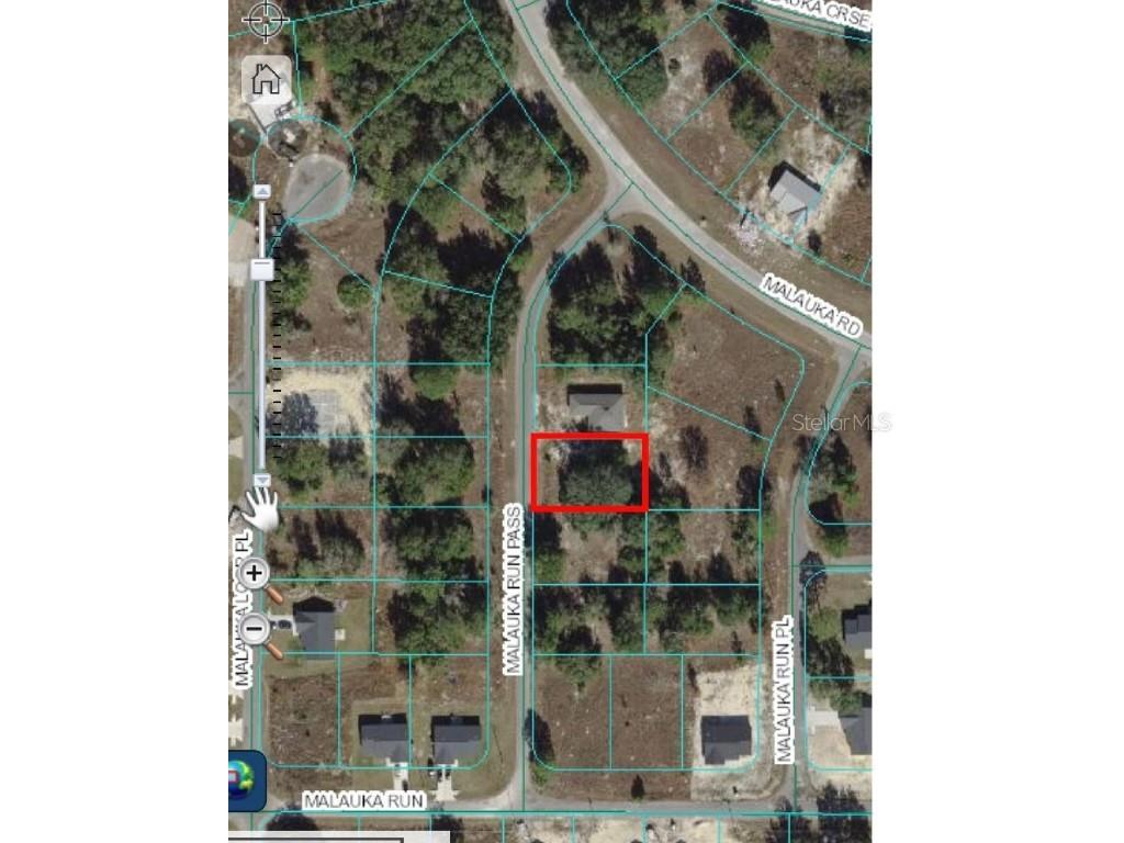 TBD Malauka Run Pass Ocklawaha FL 32179 OM672246 image1