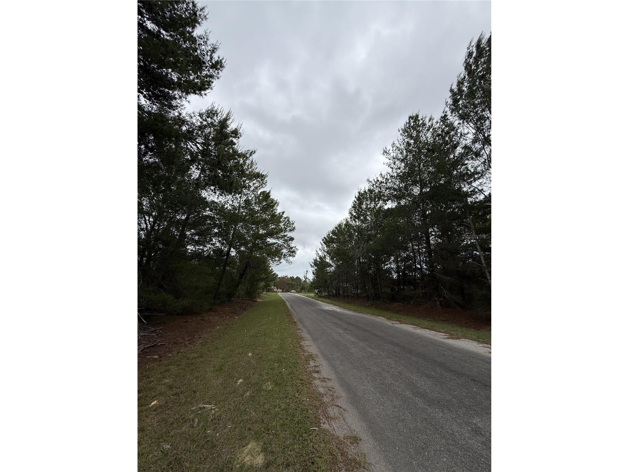 TBD Malauka Track Ocklawaha FL 32179 TB8494353 image1