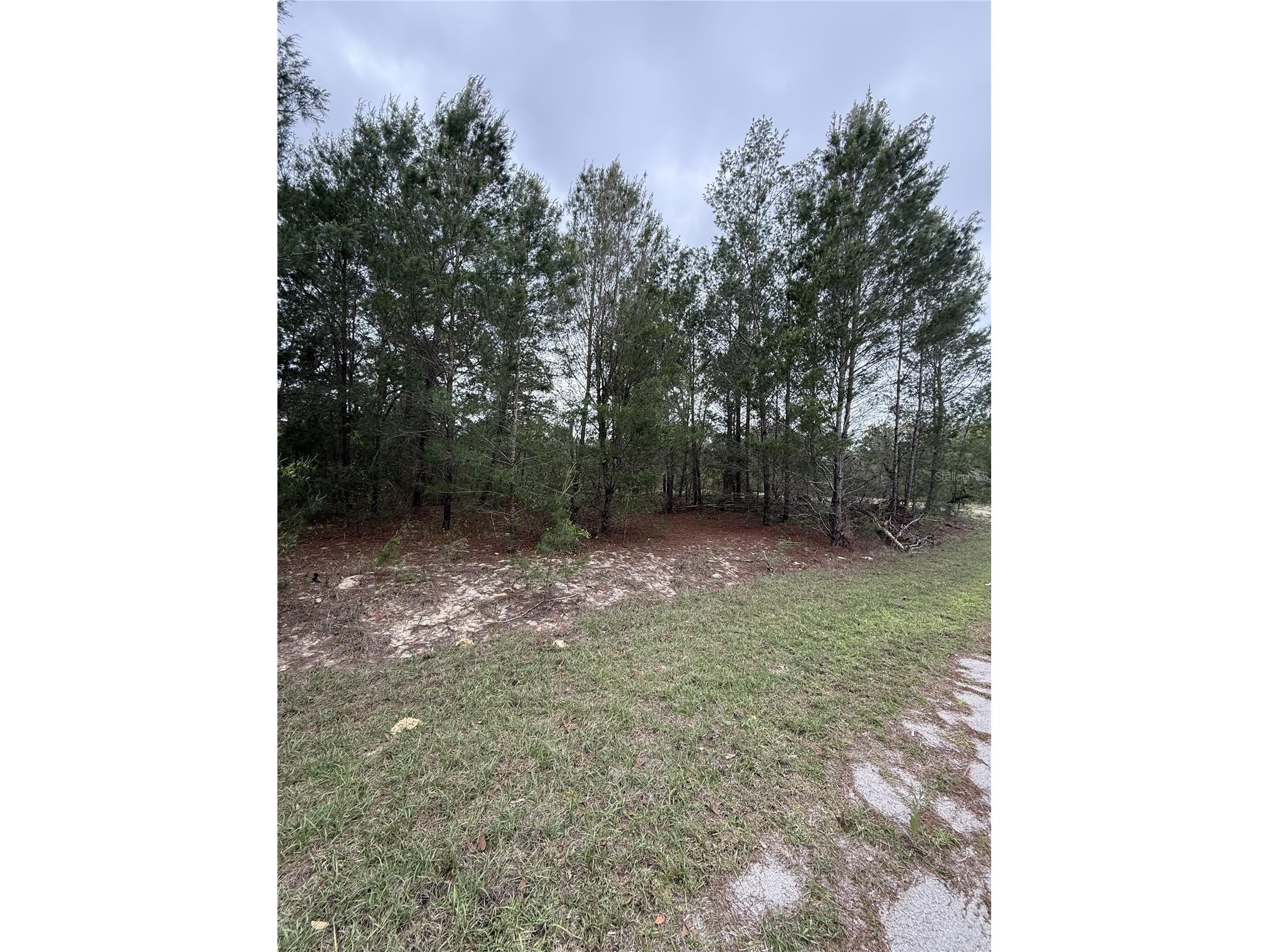 TBD Malauka Track Ocklawaha FL 32179 TB8494353 image2