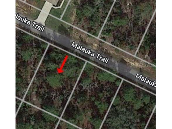 TBD Malauka Trail Ocklawaha FL 32179 T3448816 image1