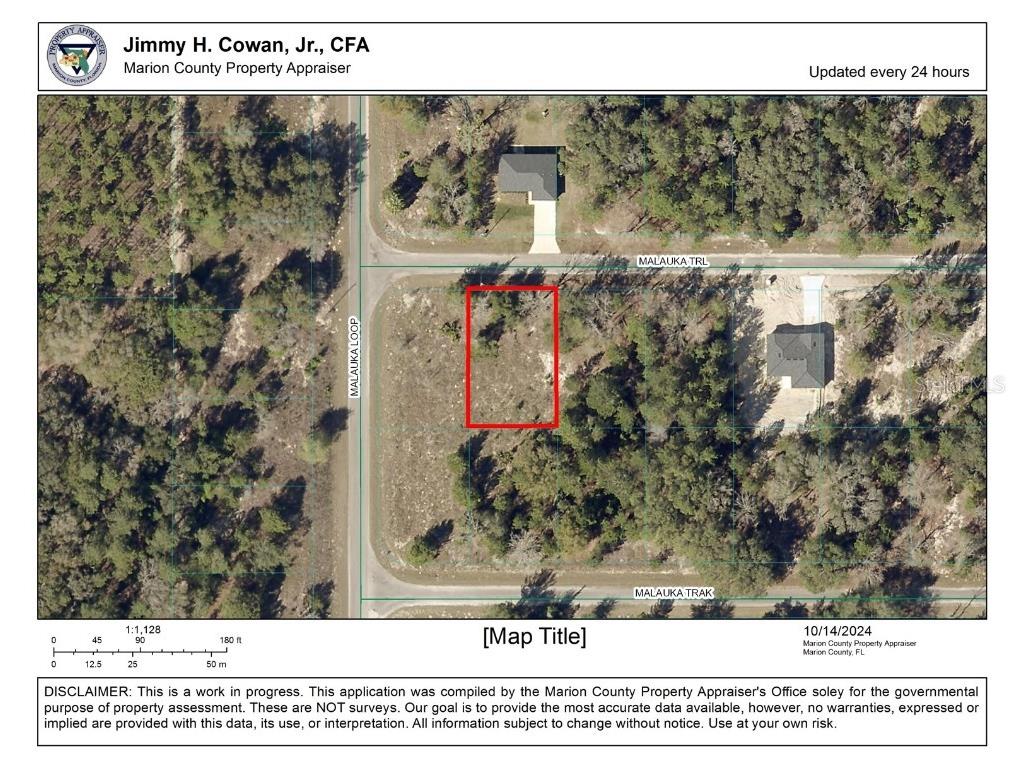 TBD Malauka Trail Ocklawaha FL 32179 OM687509 image1