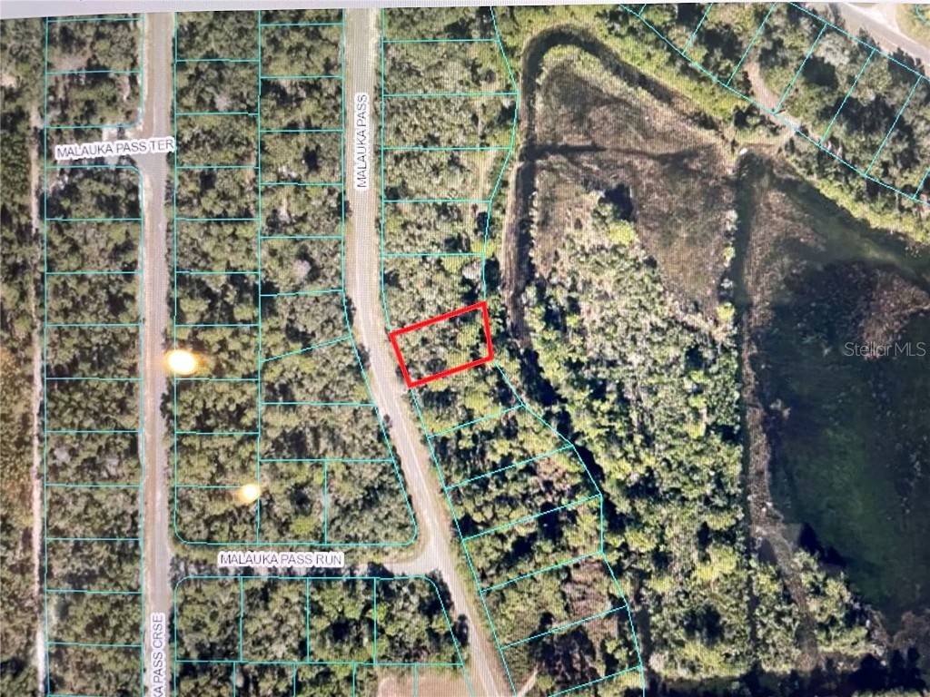 TBD Maluka Pass Ocklawaha FL 32179 OM657958 image1