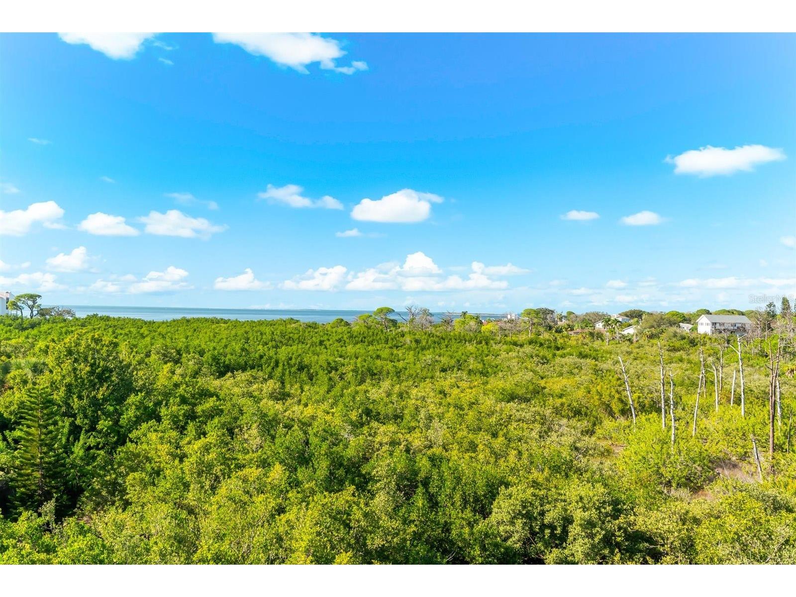 TBD Mariner Way Tarpon Springs FL 34689 TB8467026 image17