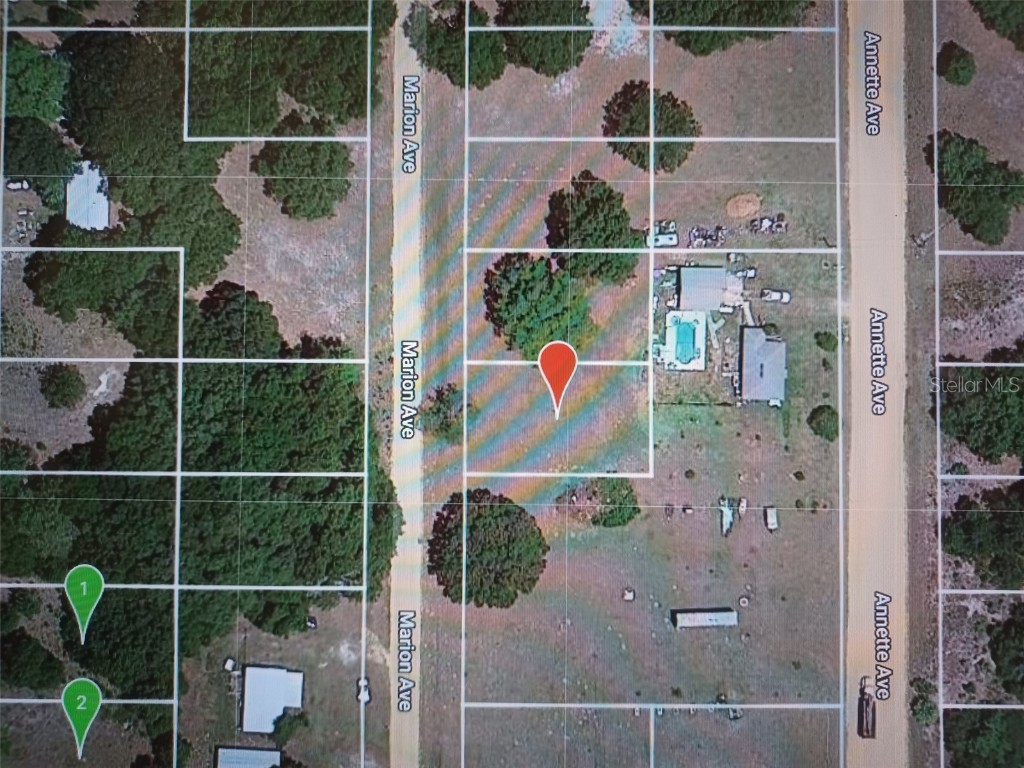 TBD Marion Avenue Interlachen FL 32148 O6176321 image1