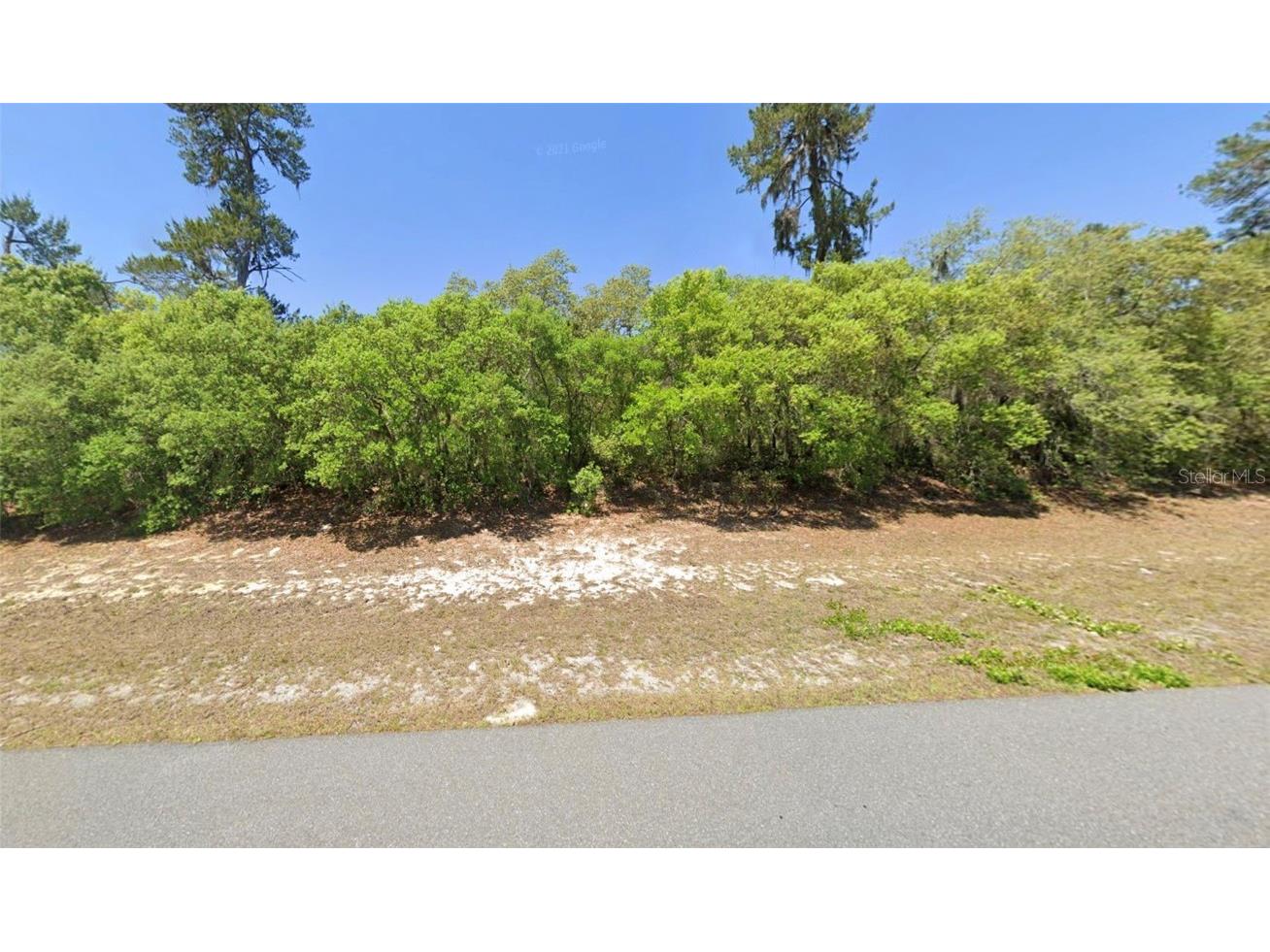 TBD Marion Oak Boulevard Ocala FL 34473 O6306786 image6