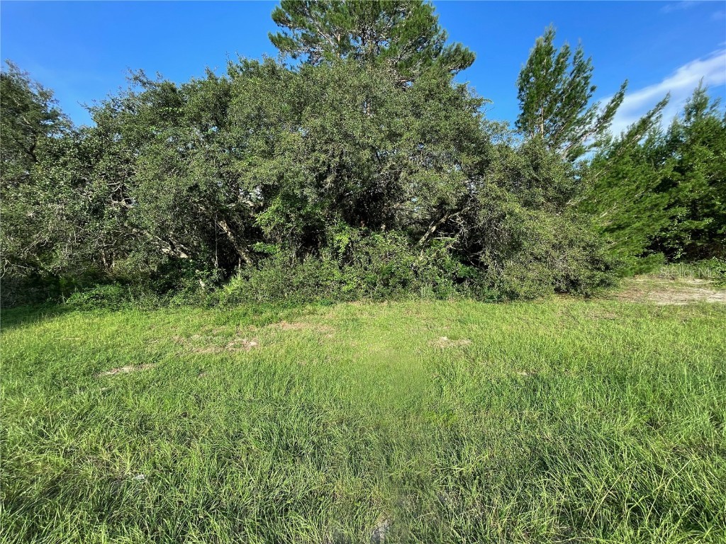 TBD Marion Oaks Boulevard Ocala FL 34473 OM662076 image1