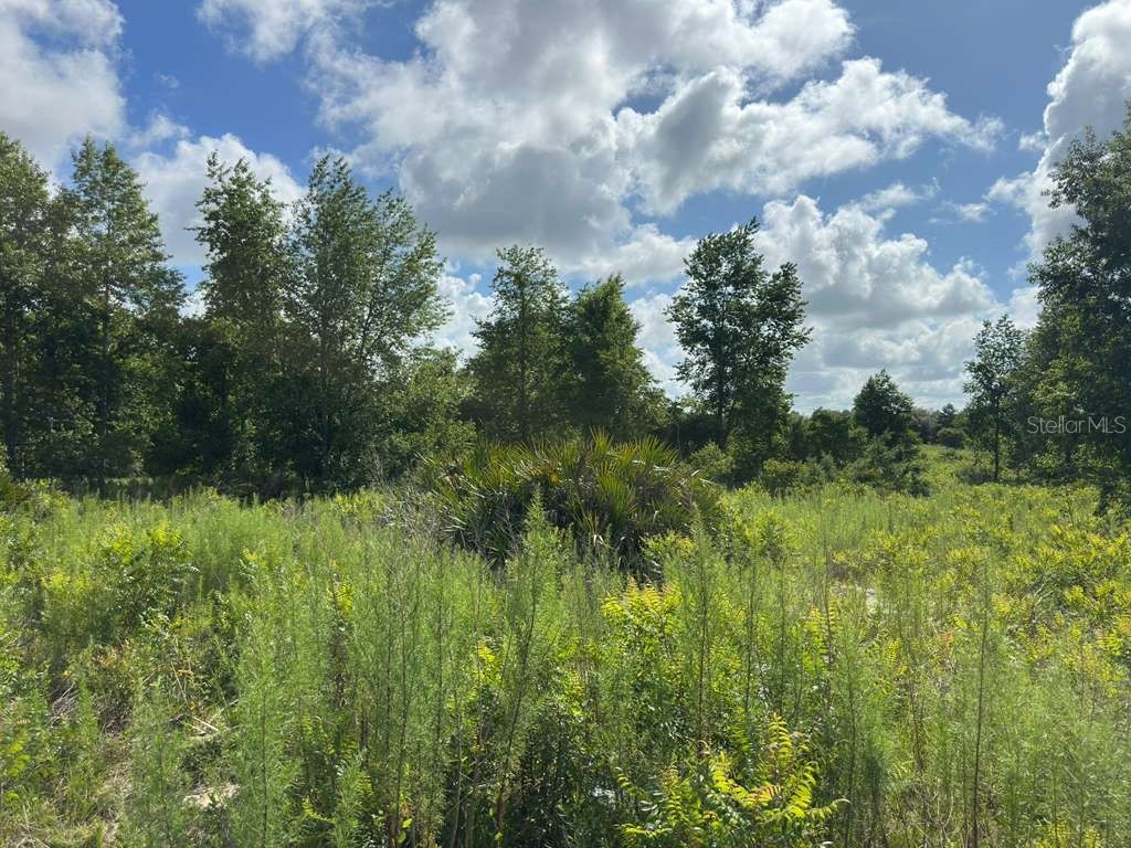TBD Marion Oaks Boulevard Ocala FL 34473 O6417032 image5