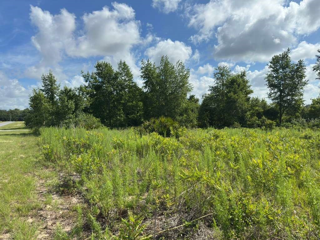 TBD Marion Oaks Boulevard Ocala FL 34473 O6417032 image6