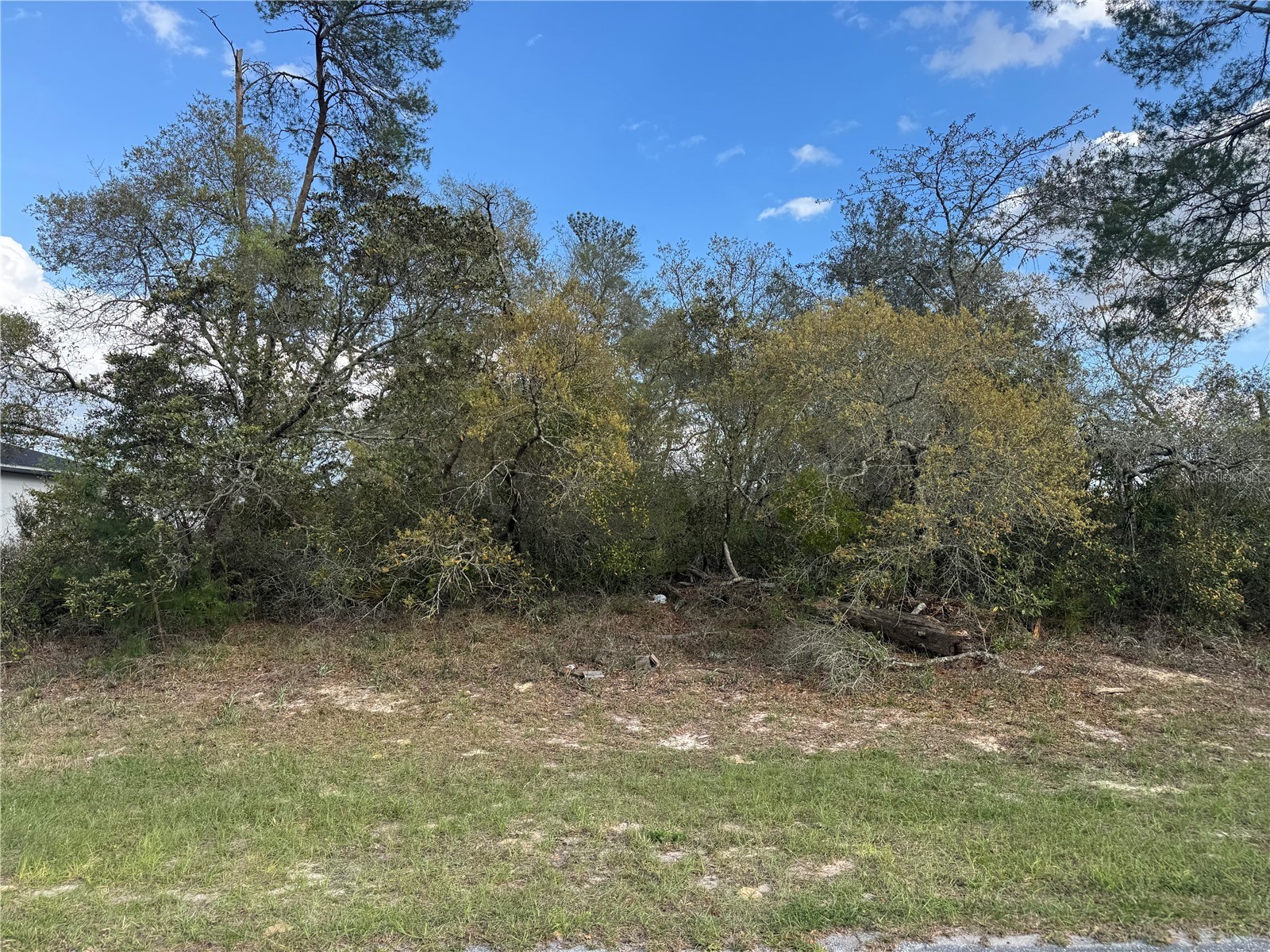 TBD Marion Oaks Golf Rd. Ocala FL 34473 OM722108 image1