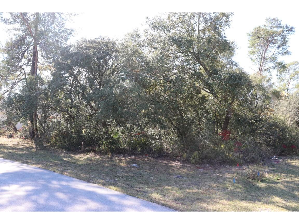 TBD Marion Oaks Golf Road Ocala FL 34473 A4673975 image1