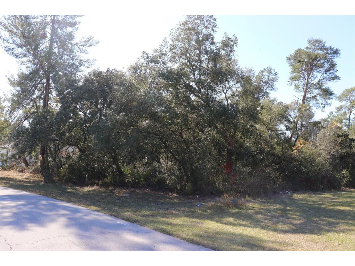 TBD Marion Oaks Golf Road Ocala FL 34473 A4673975 image2