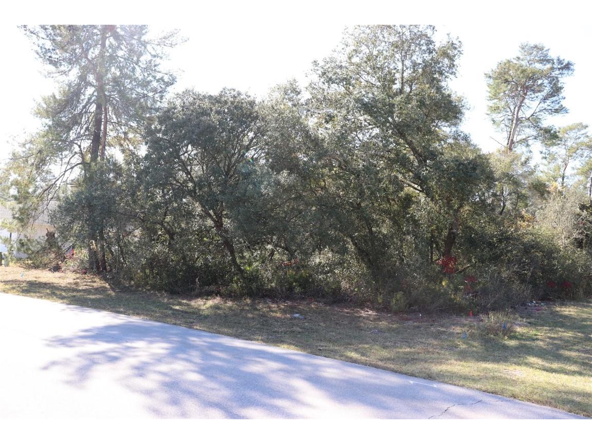 TBD Marion Oaks Golf Road Ocala FL 34473 A4673975 image6