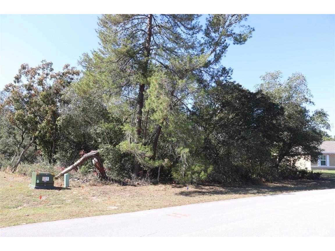 TBD Marion Oaks Golf Road Ocala FL 34473 A4673975 image7