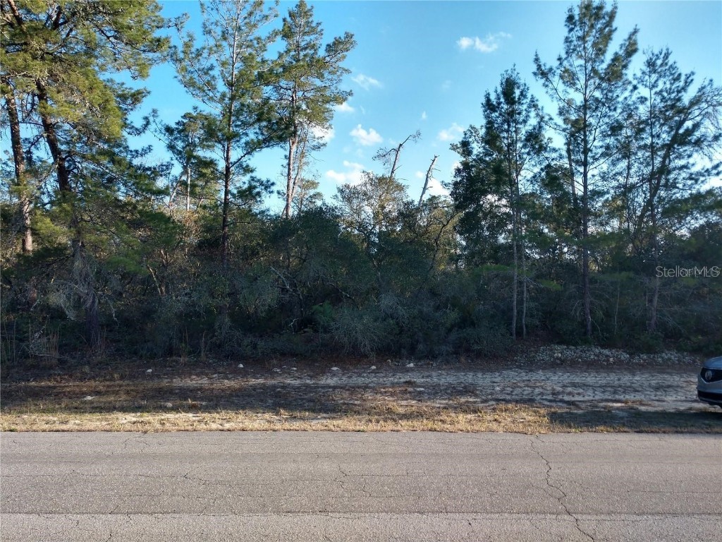 TBD Marion Oaks Lane Ocala FL 34473 OM660681 image1