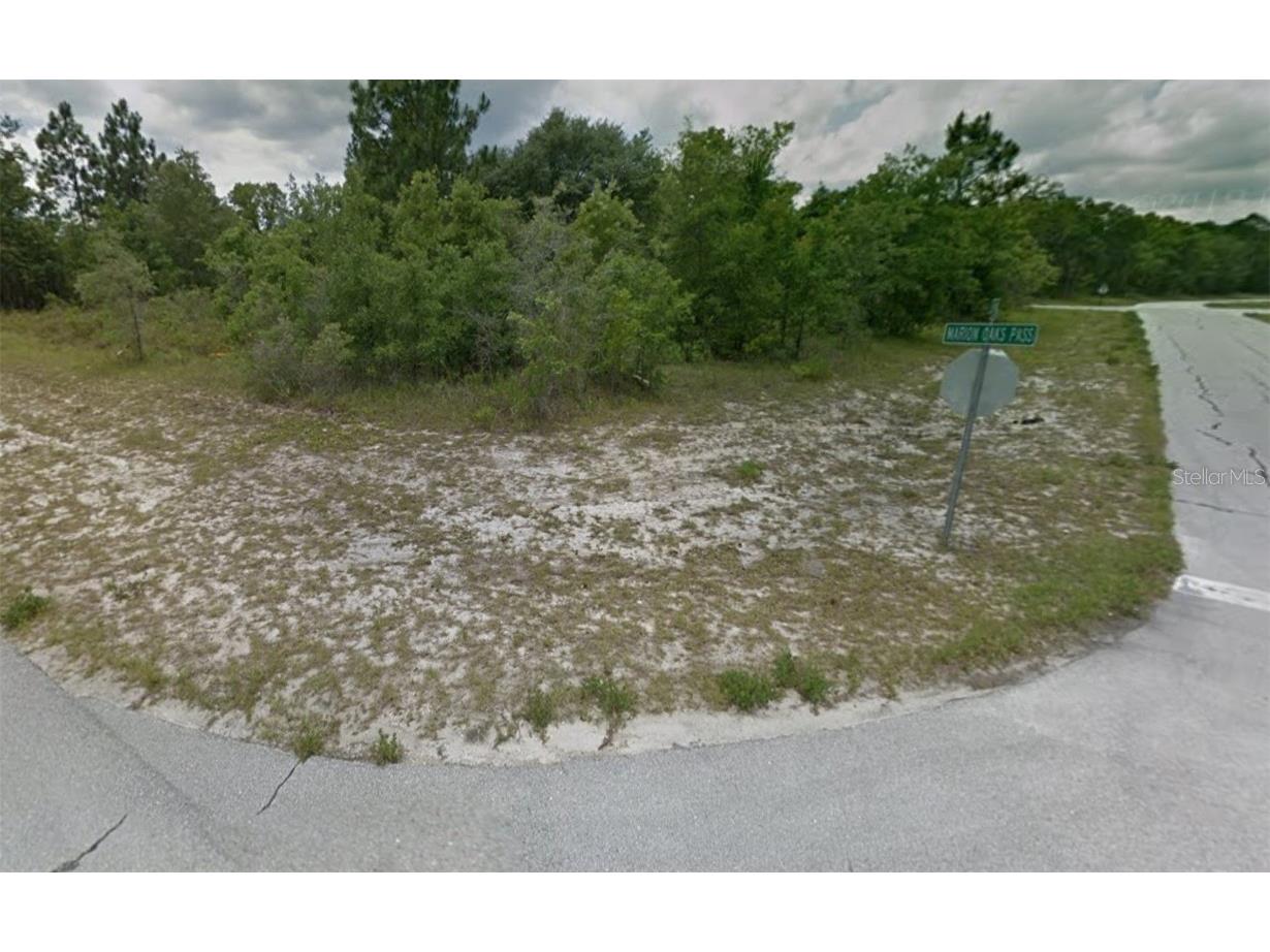 TBD Marion Oaks Pass Ocala FL 34473 OM683159 image3