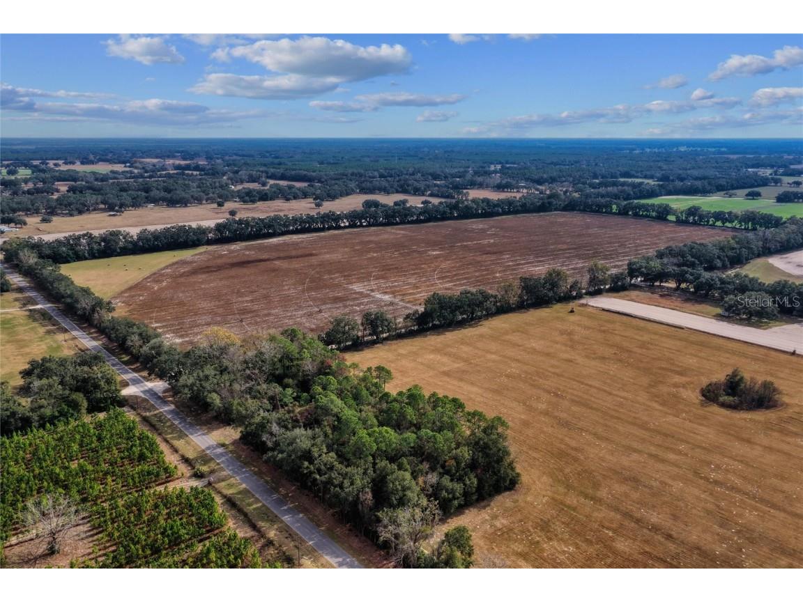 TBD N Bronson Avenue Trenton FL 32693 OM713887 image10