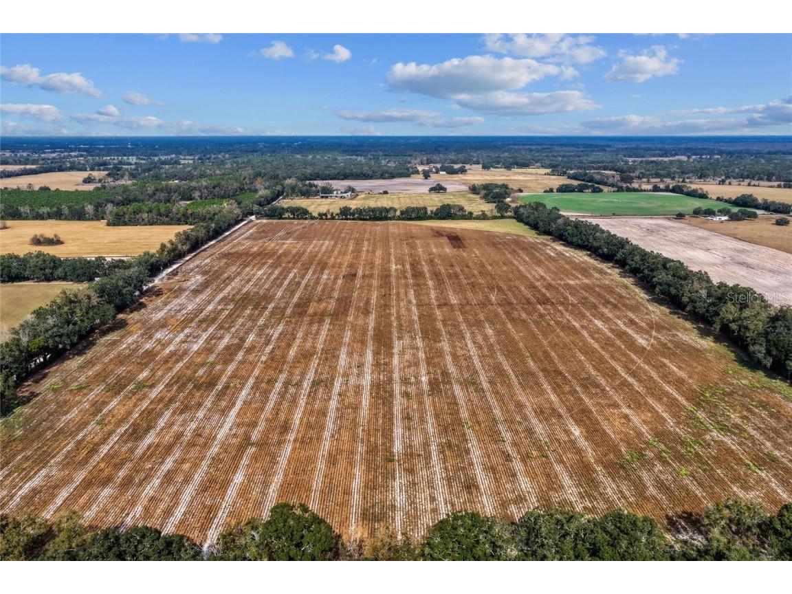 TBD N Bronson Avenue Trenton FL 32693 OM713887 image11