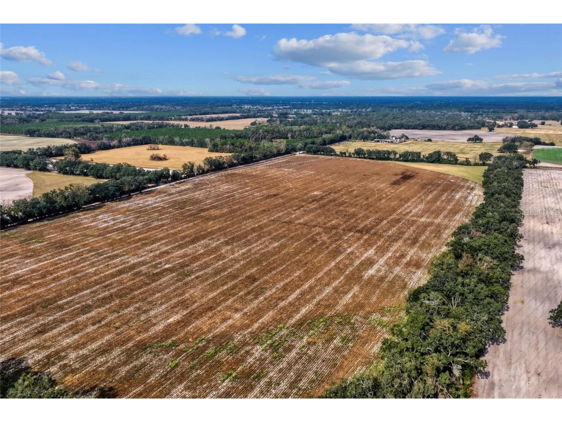 TBD N Bronson Avenue Trenton FL 32693 OM713887 image12