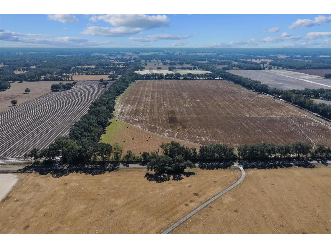 TBD N Bronson Avenue Trenton FL 32693 OM713887 image13