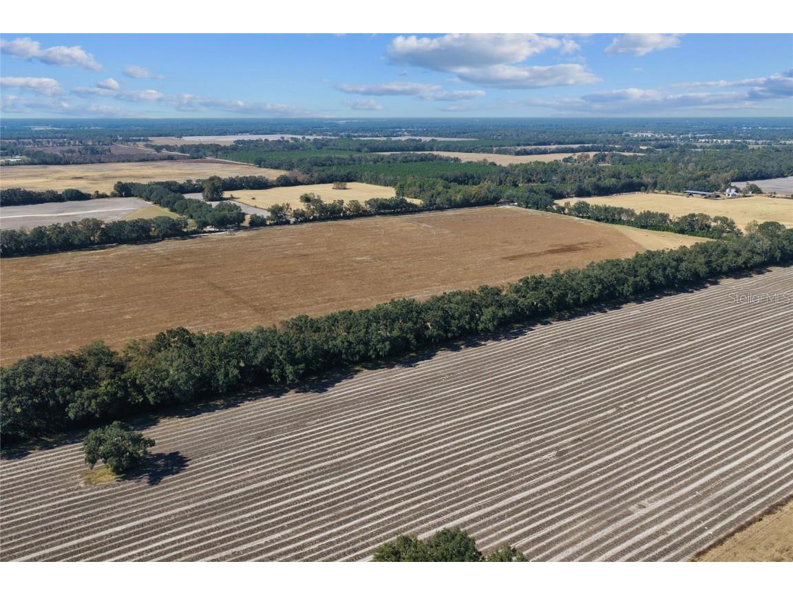 TBD N Bronson Avenue Trenton FL 32693 OM713887 image15