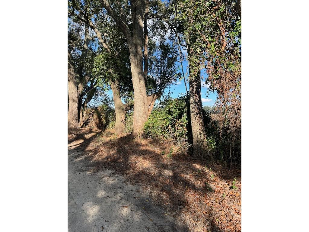 TBD N Bronson Avenue Trenton FL 32693 OM713887 image2