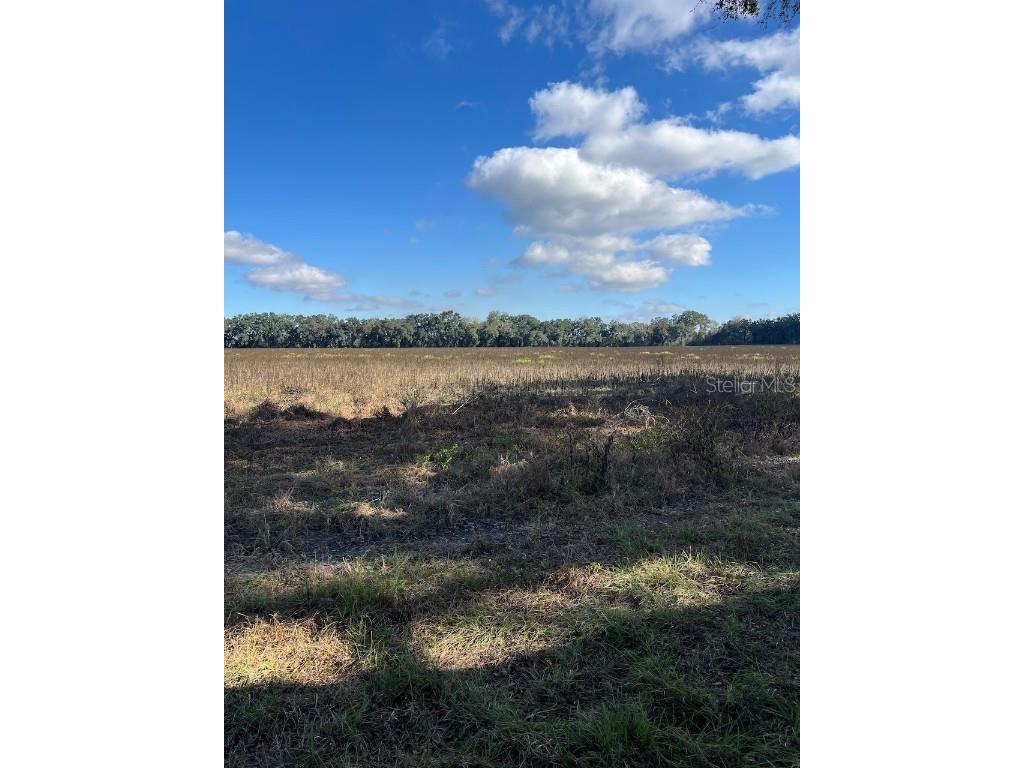 TBD N Bronson Avenue Trenton FL 32693 OM713887 image4