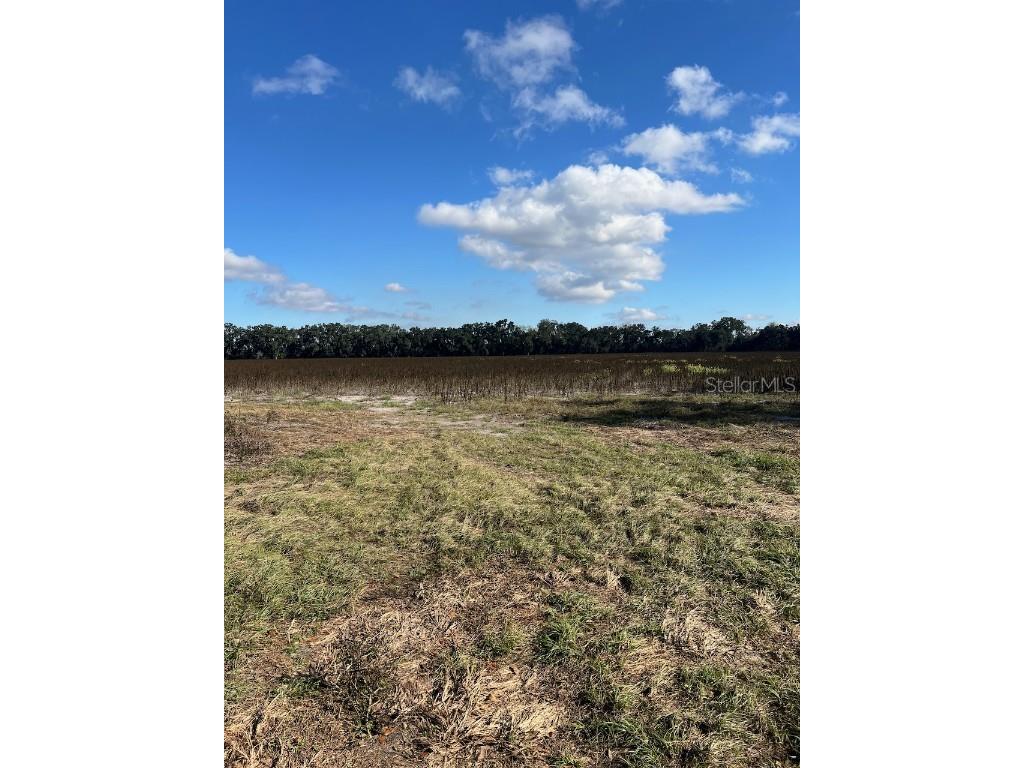 TBD N Bronson Avenue Trenton FL 32693 OM713887 image5