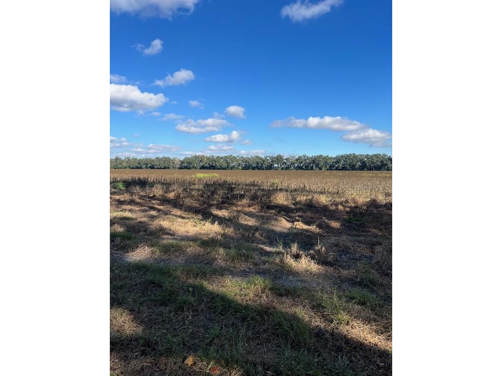 TBD N Bronson Avenue Trenton FL 32693 OM713887 image6