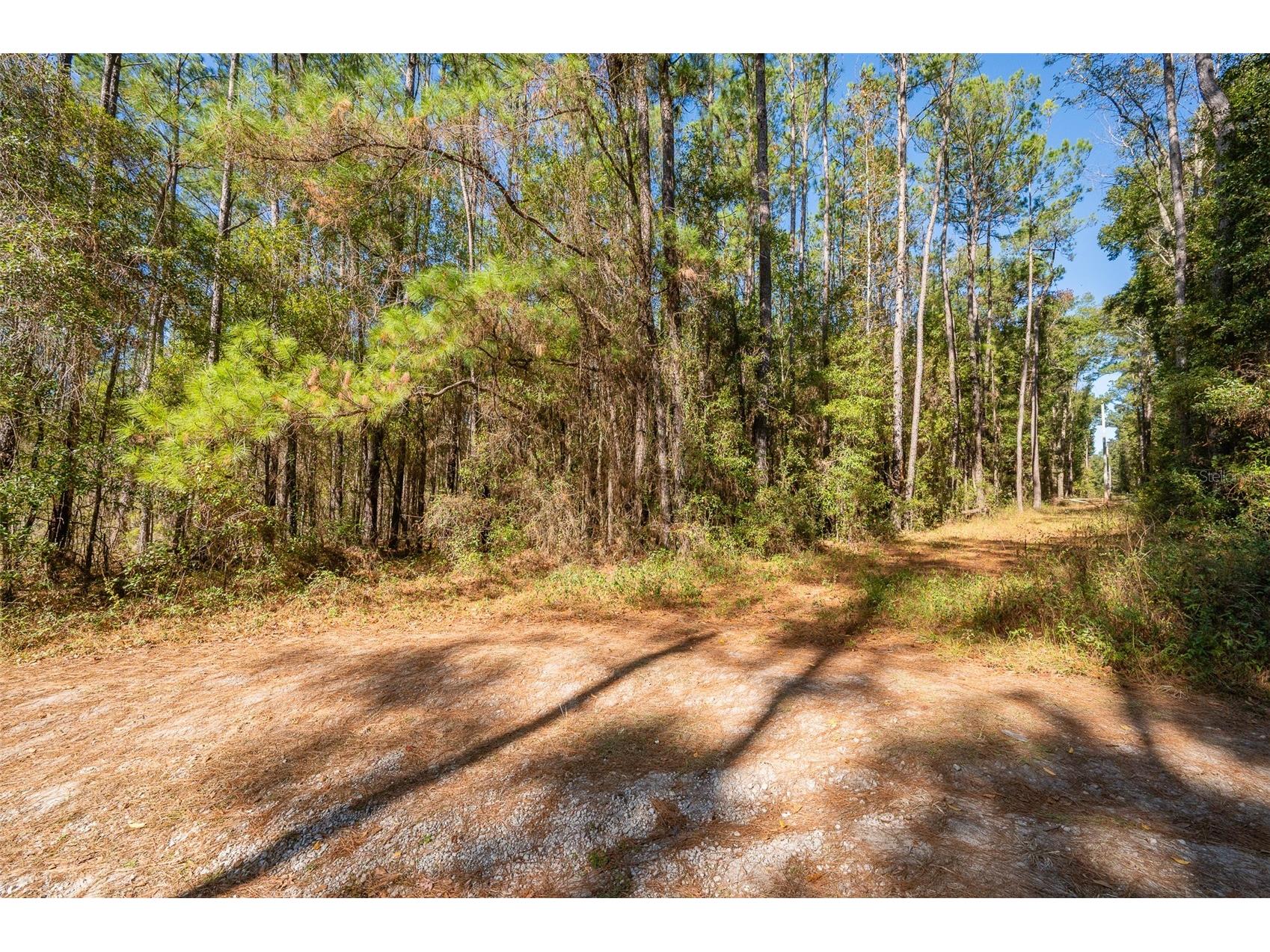 TBD N County Rd 1491 Alachua FL 32615 GC535902 image10