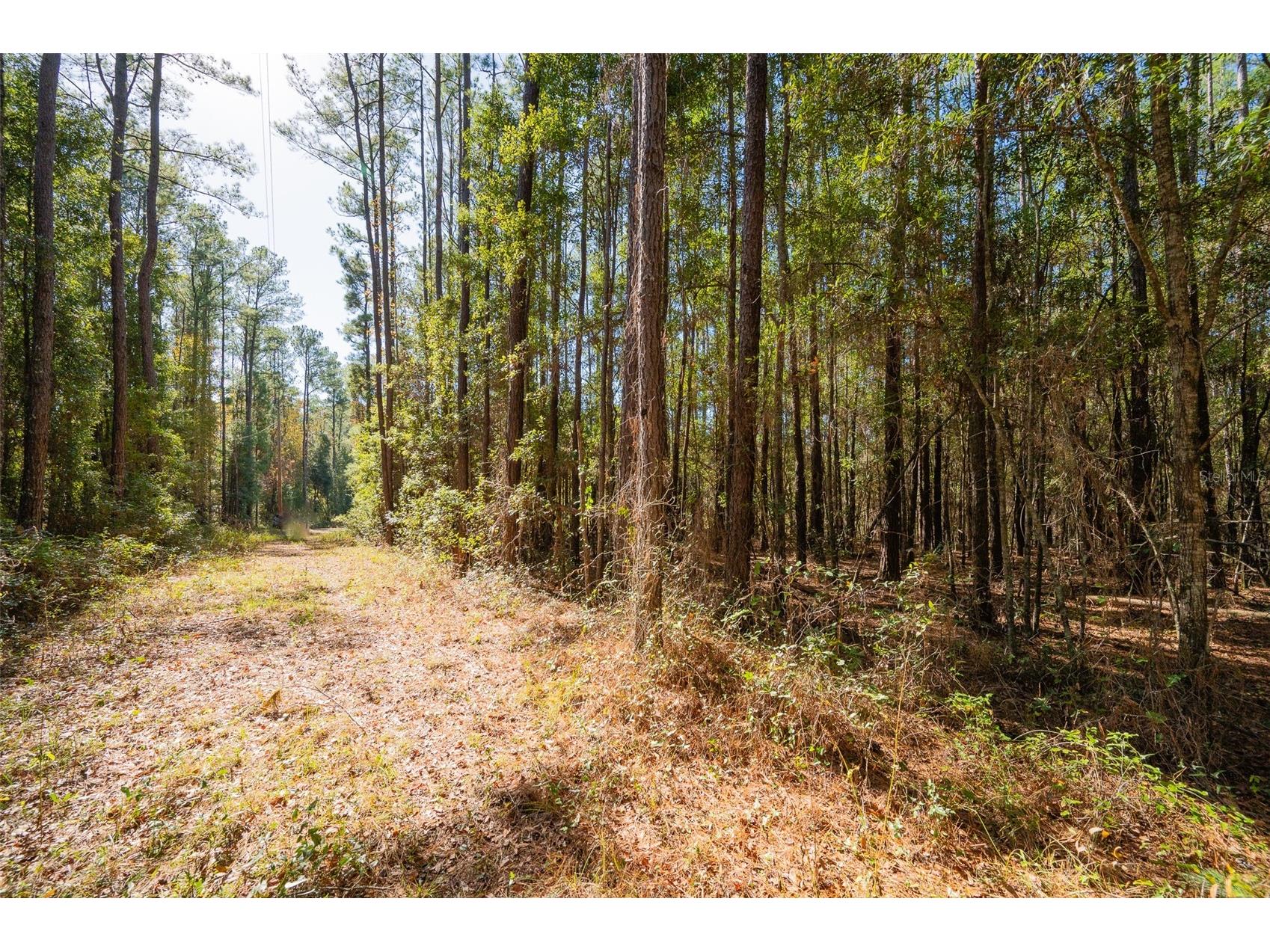 TBD N County Rd 1491 Alachua FL 32615 GC535902 image12