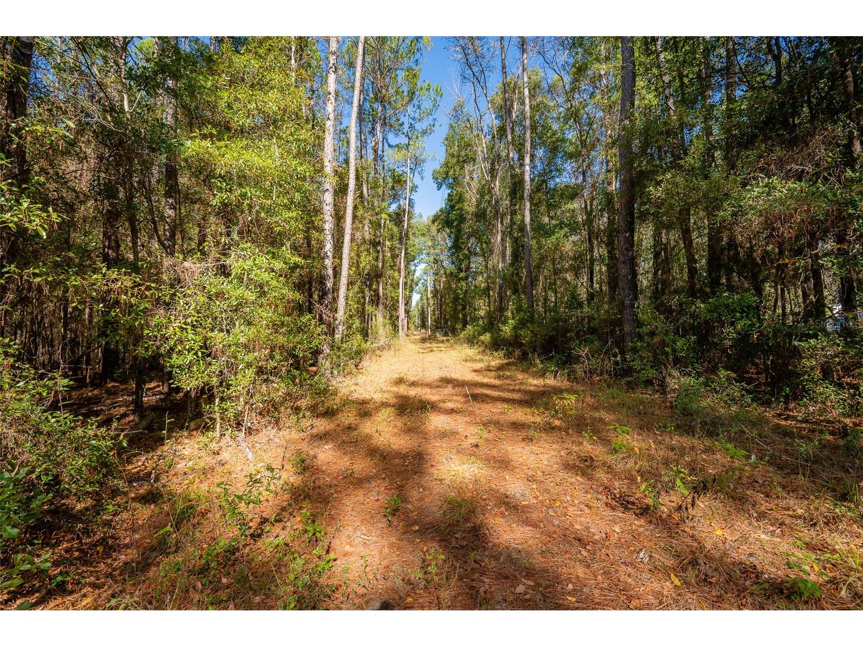 TBD N County Rd 1491 Alachua FL 32615 GC535902 image13
