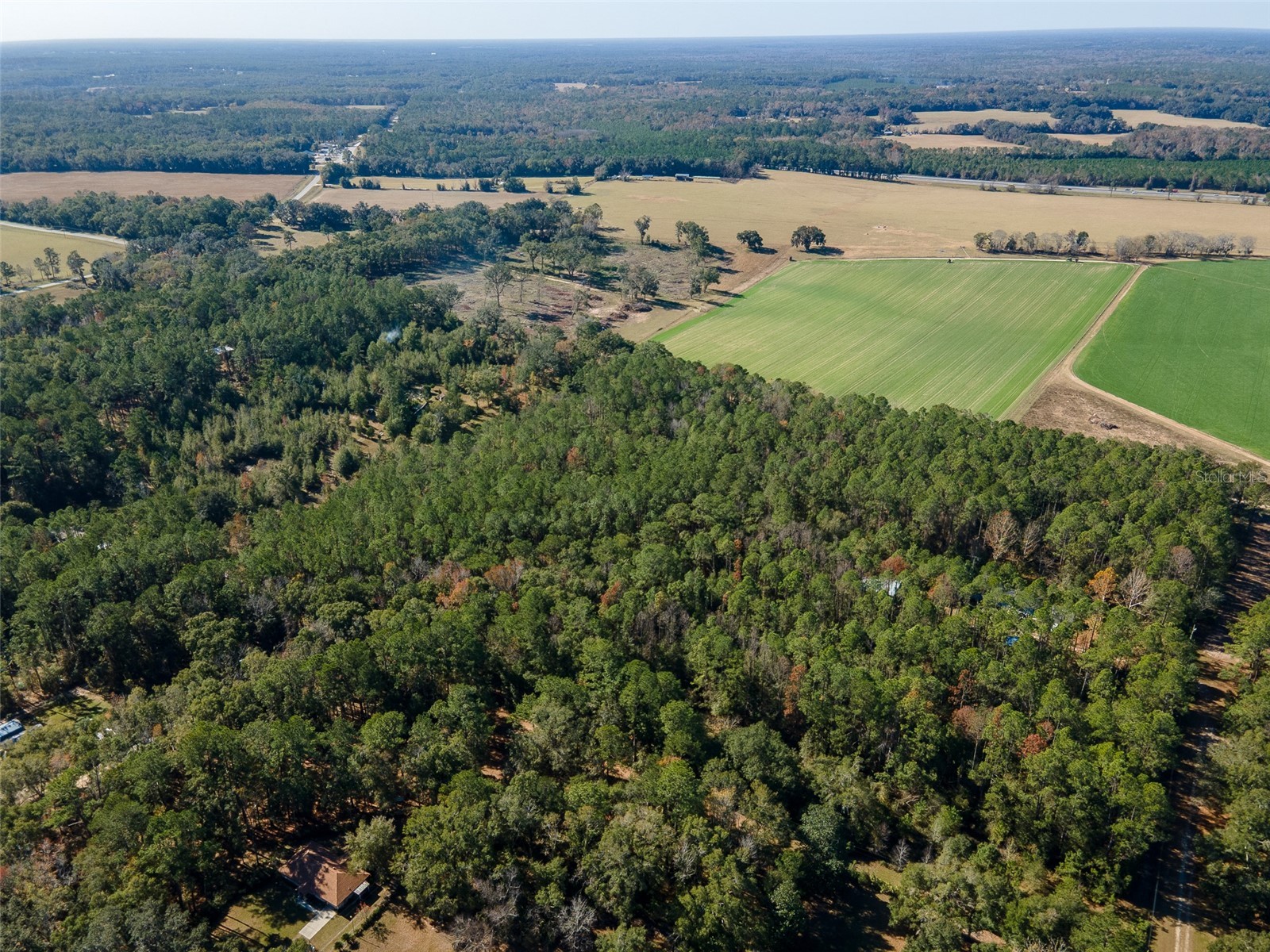 TBD N County Rd 1491 Alachua FL 32615 GC535902 image2