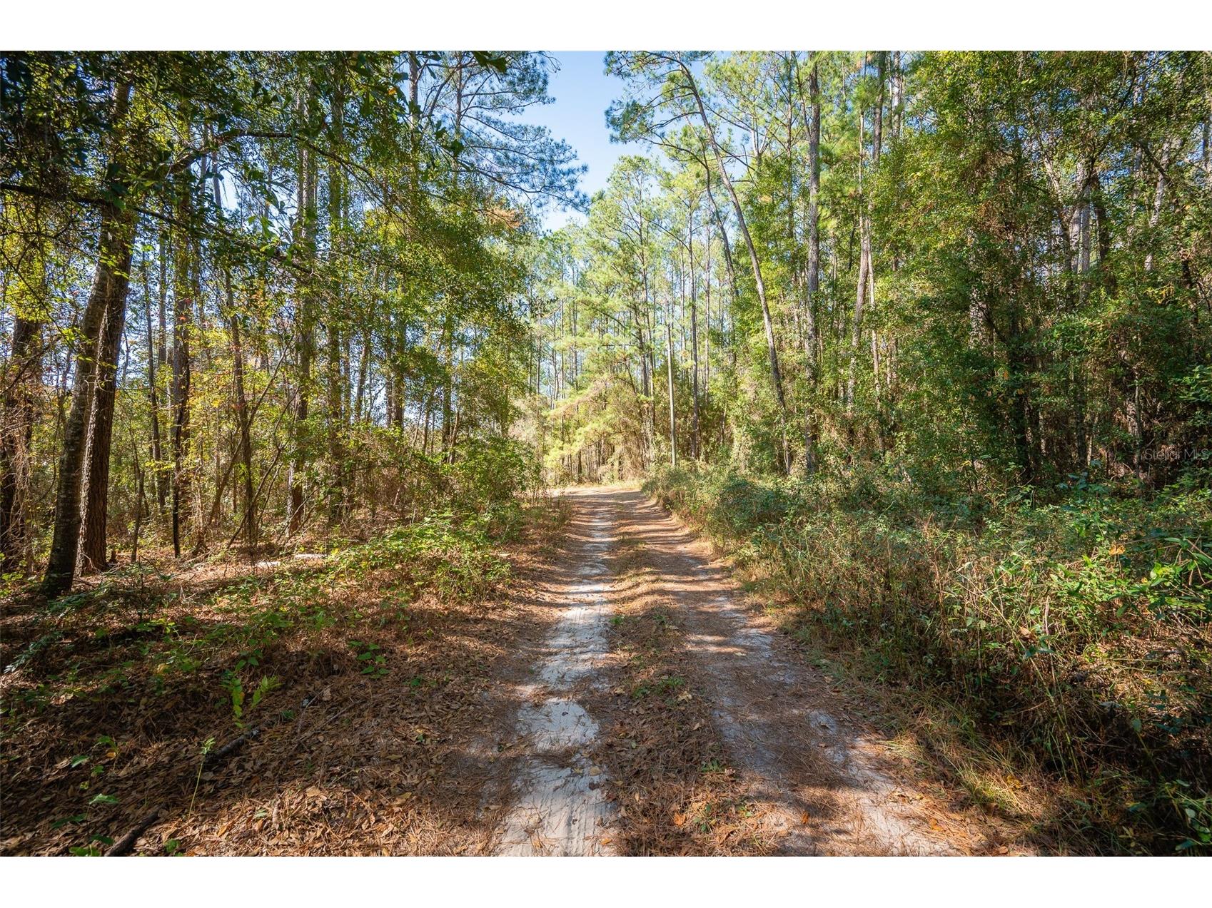 TBD N County Rd 1491 Alachua FL 32615 GC535902 image20