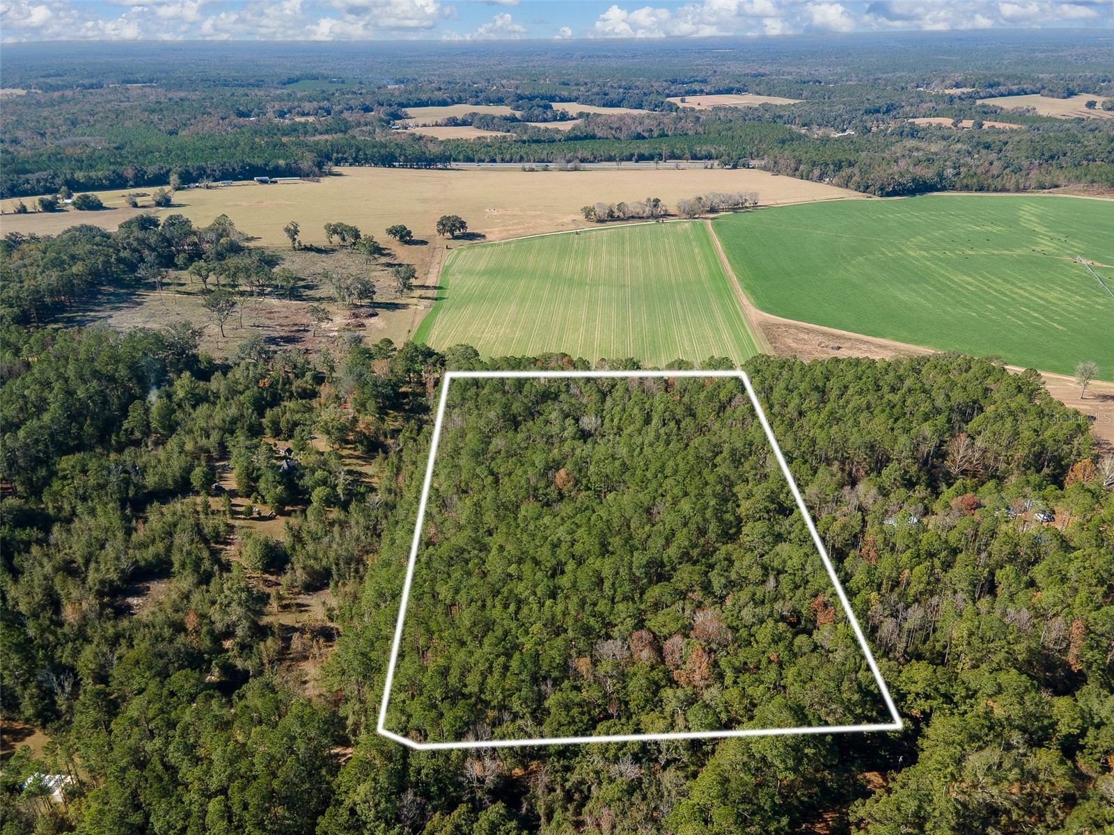 TBD N County Rd 1491 Alachua FL 32615 GC535902 image3