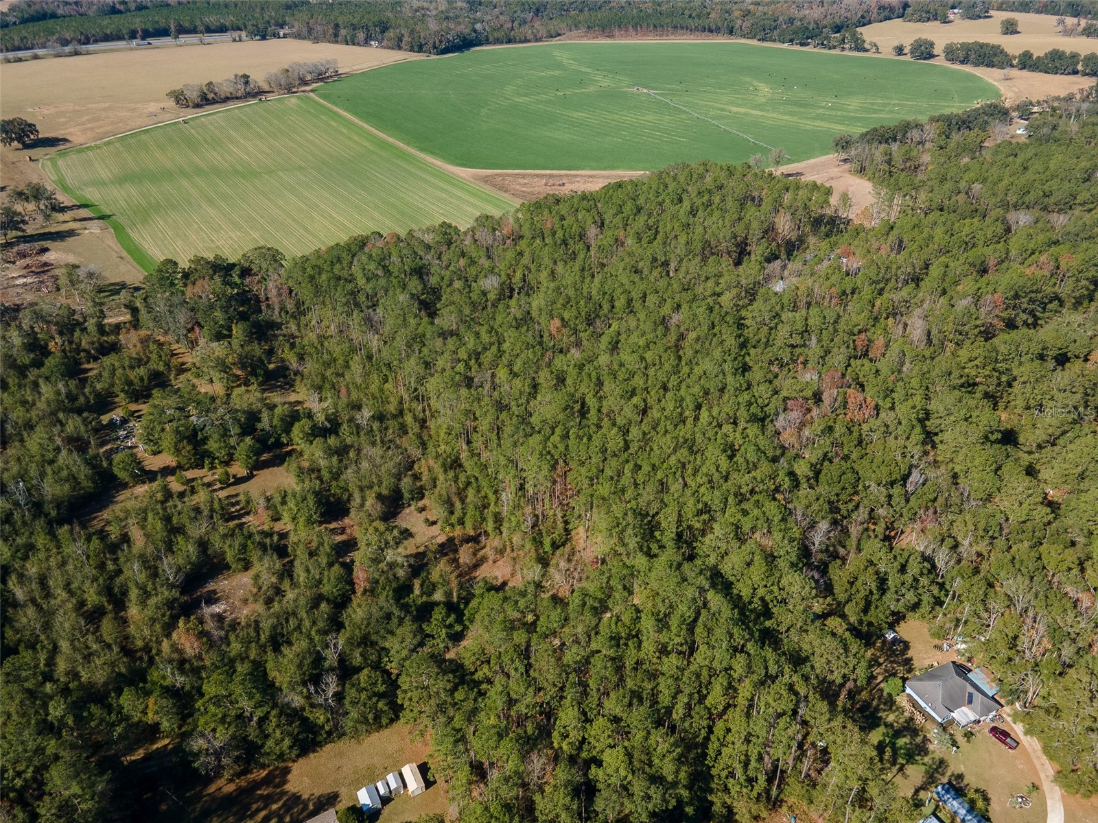 TBD N County Rd 1491 Alachua FL 32615 GC535902 image6