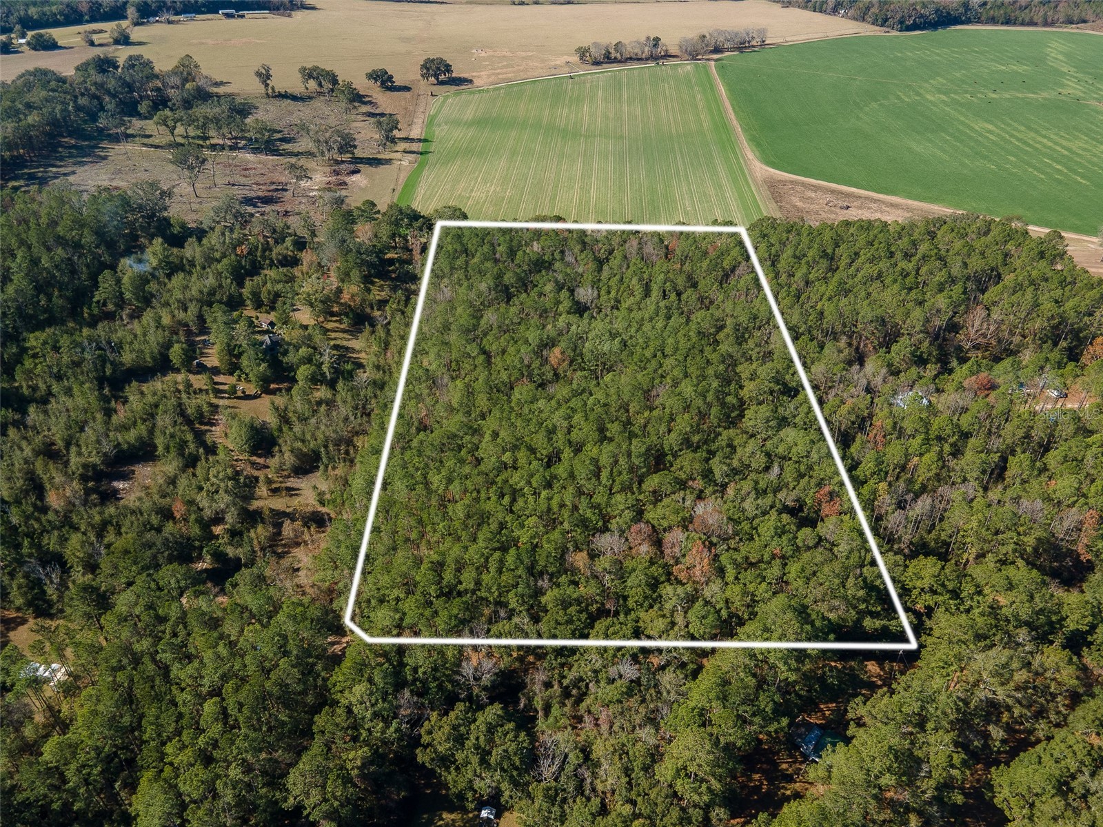 TBD N County Rd 1491 Alachua FL 32615 GC535902 image7