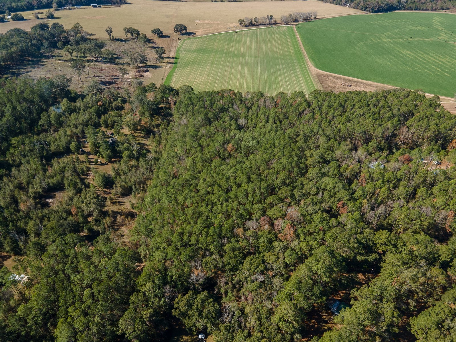 TBD N County Rd 1491 Alachua FL 32615 GC535902 image8