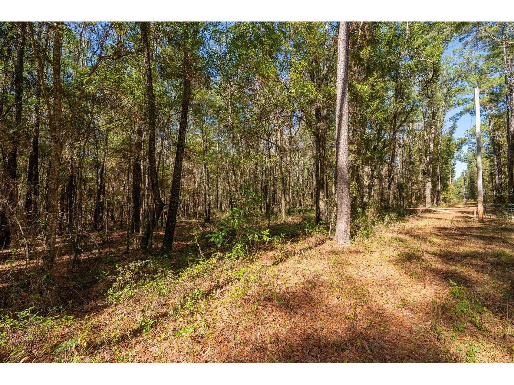 TBD N County Rd 1491 Alachua FL 32615 GC535902 image9