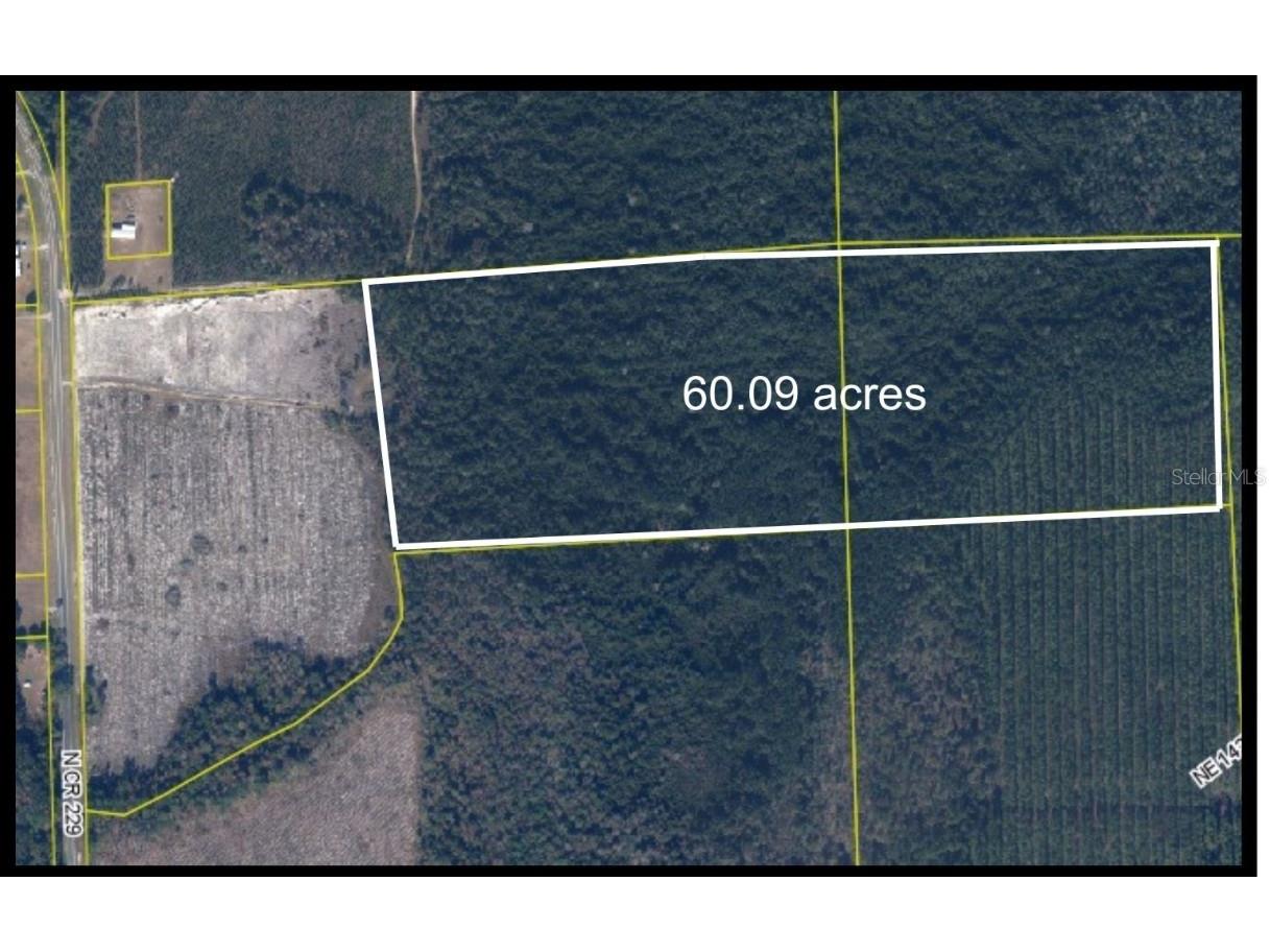 TBD N County Rd 229 Raiford FL 32083 GC534420 image1