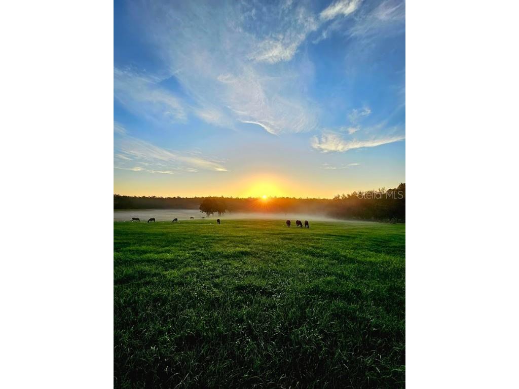 TBD N Highway 329 Reddick FL 32686 OM679508 image1