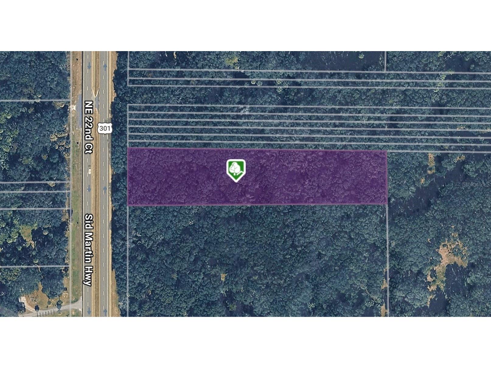 TBD N Hwy 301 Citra FL 32113 OM714036 image1