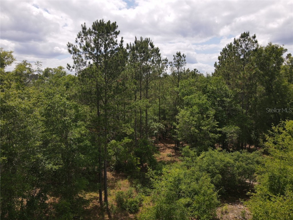 TBD N State Road 121 Alachua FL 32615 GC513232 image10