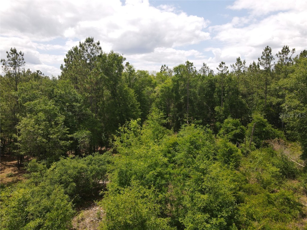 TBD N State Road 121 Alachua FL 32615 GC513232 image11