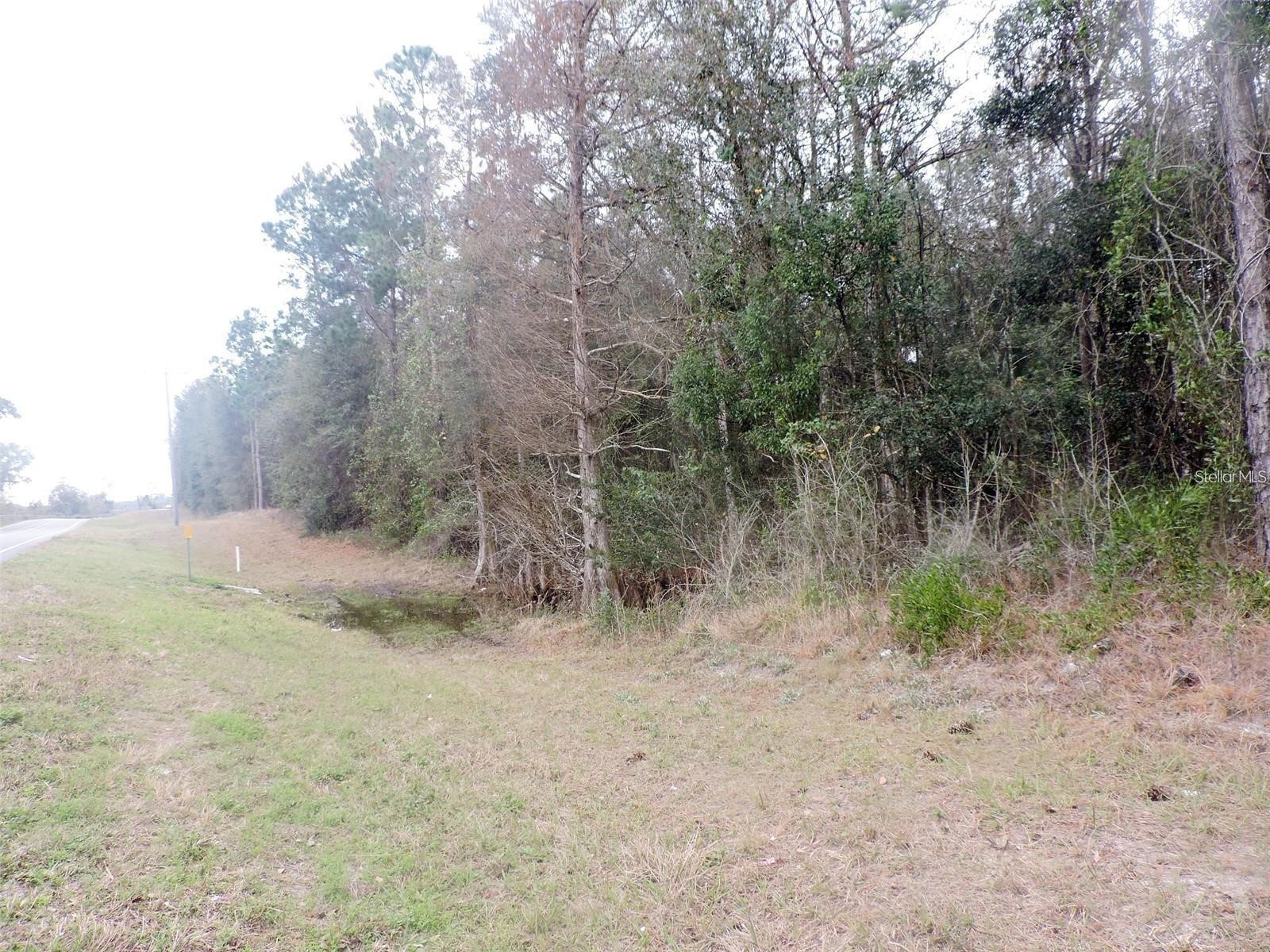 TBD N State Road 21 Hawthorne FL 32640 OM718879 image1