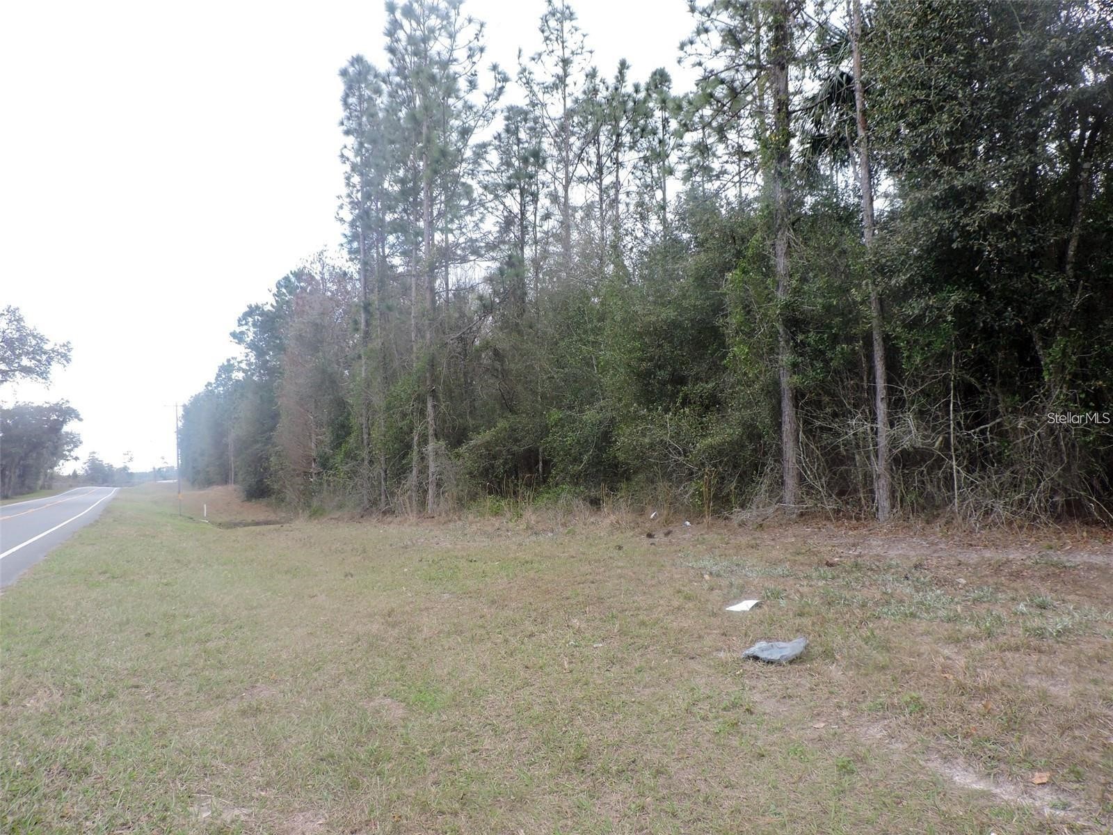 TBD N State Road 21 Hawthorne FL 32640 OM718879 image4