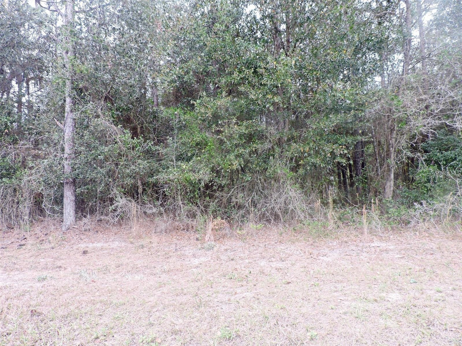 TBD N State Road 21 Hawthorne FL 32640 OM718879 image5