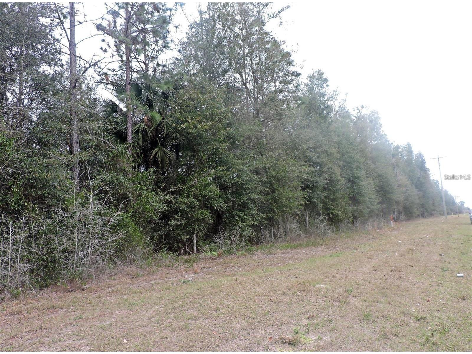 TBD N State Road 21 Hawthorne FL 32640 OM718879 image6