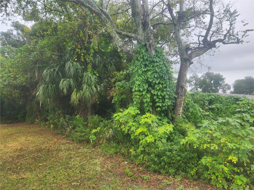 TBD N Williams Street Dunnellon FL 34432 OM668087 image1